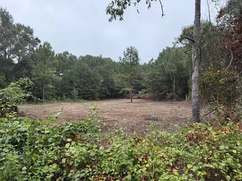 229 Holly Dr, Chesnee, SC 29323