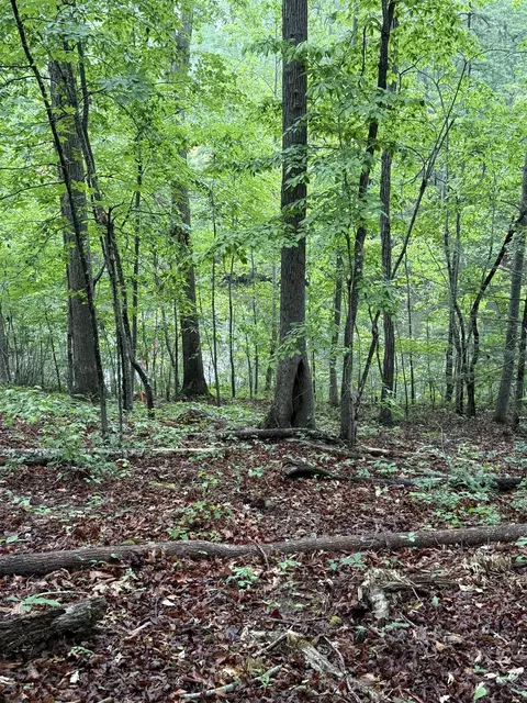 Wicklow, Campobello, SC 29322 photo 22