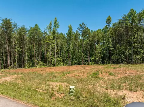Wicklow, Campobello, SC 29322 photo 7