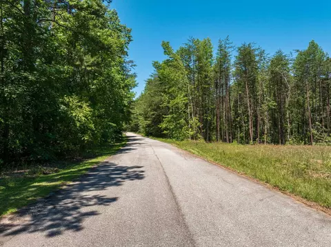 Wicklow, Campobello, SC 29322 photo 2