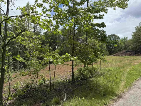 Wicklow, Campobello, SC 29322 photo 3