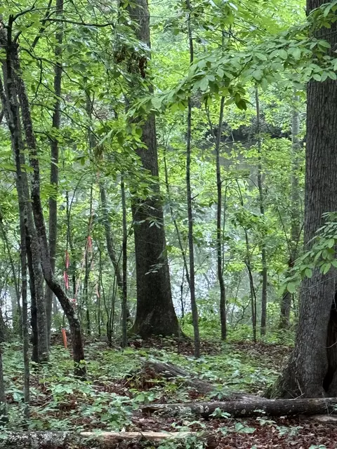 Wicklow, Campobello, SC 29322 photo 23