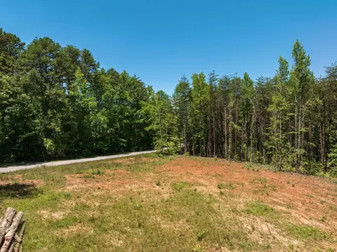 Wicklow, Campobello, SC 29322 photo 6