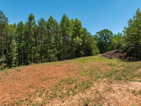 Wicklow, Campobello, SC 29322 photo 5