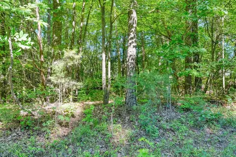 0 Traylor Rd, Sharon, SC 29742 photo 29