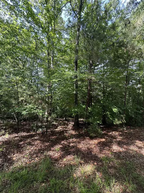 Old Buncombe Road, Union, SC 29379