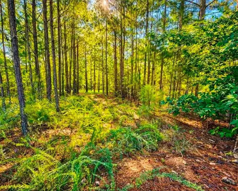 406 Terrapin Pointe Rd, Hodges, SC 29563