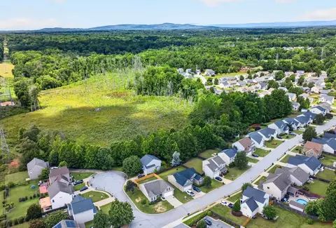 View/Area - 101 Constantine Way, Greer, SC 29650 photo 3 of 3