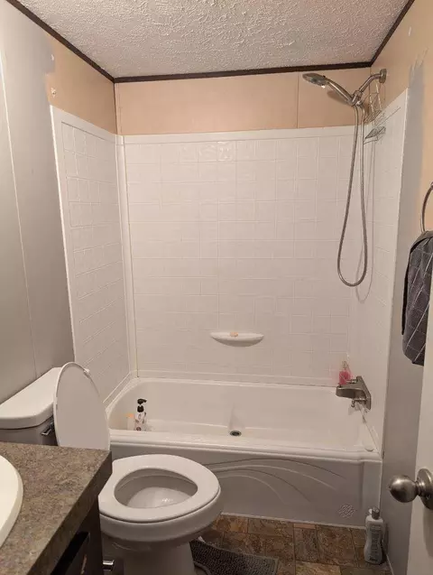 260 Buck Branch Rd, Mill Spring, NC 28756 photo 5