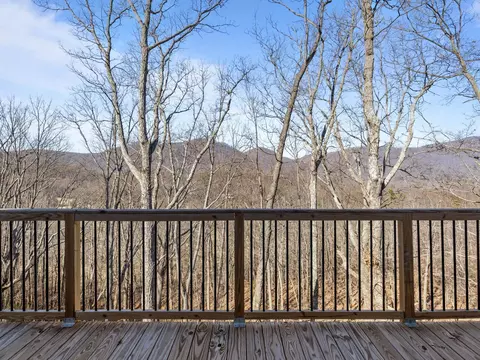 Exterior - 225 Aurora Ln, Tryon, NC 28782 photo 4 of 6