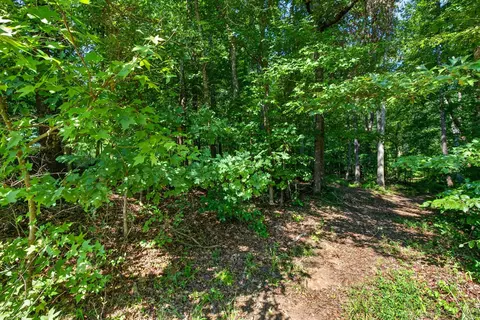 000 John High Rd, Campobello, SC 29322 photo 26