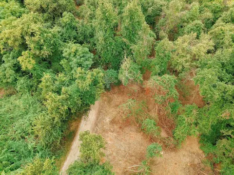 0 Gene Fleming Rd, Iva, SC 29655 photo 49