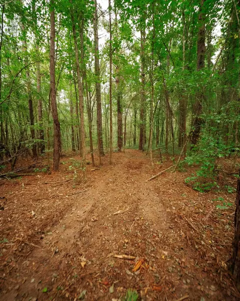 0 Gene Fleming Rd, Iva, SC 29655 photo 23