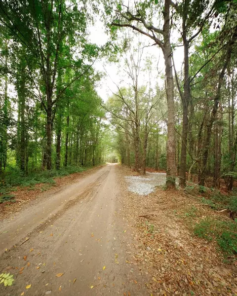 0 Gene Fleming Rd, Iva, SC 29655 photo 18