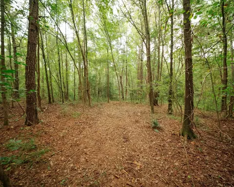 0 Gene Fleming Rd, Iva, SC 29655 photo 24