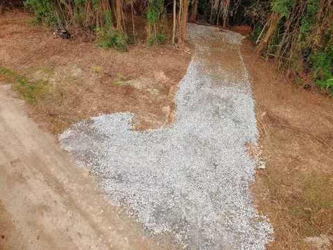 0 Gene Fleming Rd, Iva, SC 29655 photo 38