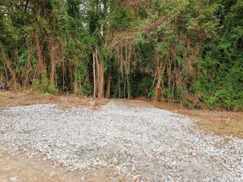 0 Gene Fleming Rd, Iva, SC 29655 photo 37