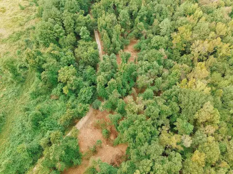 0 Gene Fleming Rd, Iva, SC 29655 photo 48