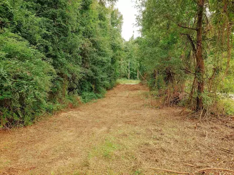 0 Gene Fleming Rd, Iva, SC 29655 photo 29