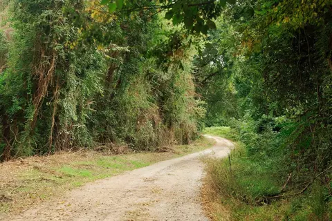 0 Gene Fleming Rd, Iva, SC 29655 photo 9