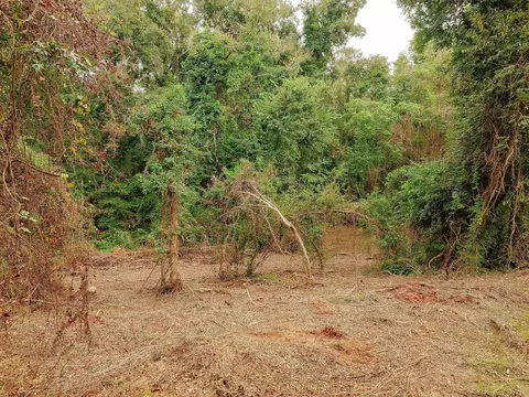 0 Gene Fleming Rd, Iva, SC 29655 photo 31