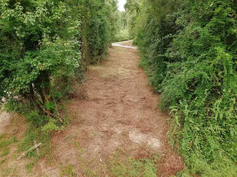 0 Gene Fleming Rd, Iva, SC 29655 photo 41