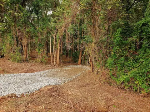 0 Gene Fleming Rd, Iva, SC 29655 photo 30