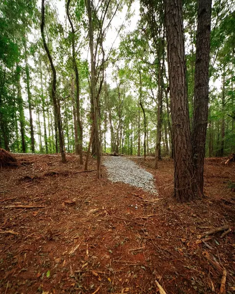 0 Gene Fleming Rd, Iva, SC 29655 photo 22