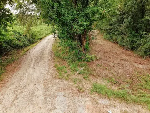 0 Gene Fleming Rd, Iva, SC 29655 photo 42