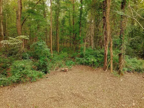 0 Gene Fleming Rd, Iva, SC 29655 photo 34