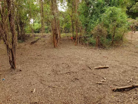 0 Gene Fleming Rd, Iva, SC 29655 photo 35