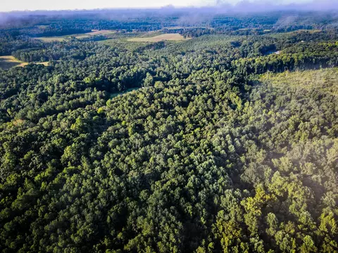 0 Gene Fleming Rd, Iva, SC 29655 photo 20