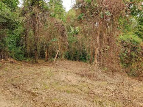 0 Gene Fleming Rd, Iva, SC 29655 photo 33