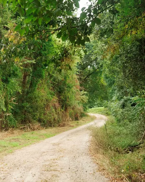 0 Gene Fleming Rd, Iva, SC 29655 photo 8