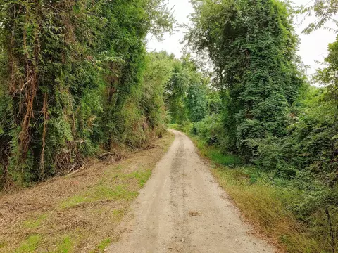 0 Gene Fleming Rd, Iva, SC 29655 photo 32