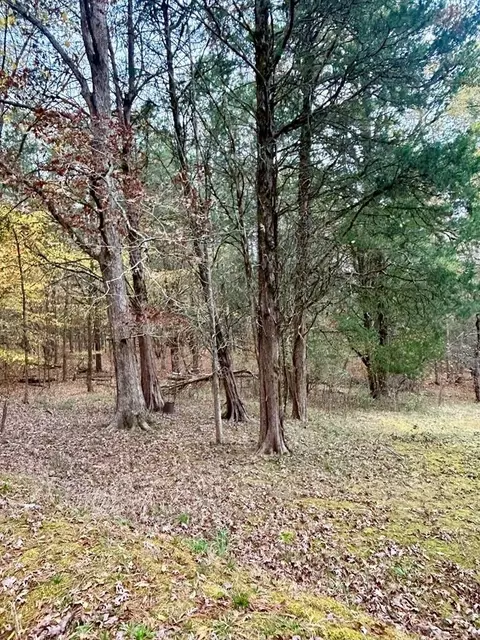 0 Darwin Rd, Gaffney, SC 29340 photo 2