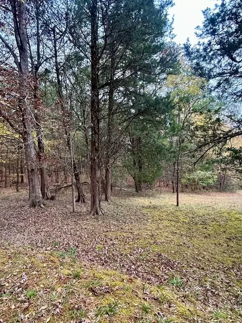 0 Darwin Rd, Gaffney, SC 29340 photo 3