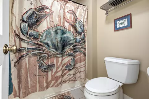 Bath - 424 Harbour View Dr, Chesnee, SC 29323 photo 7 of 7