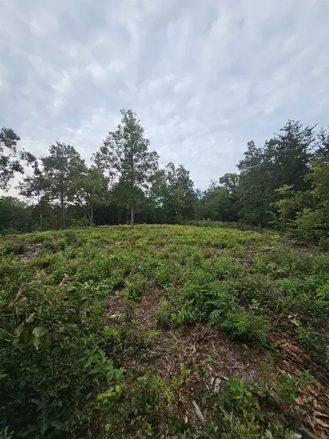 1142 Belue Mill Rd, Landrum, SC 29356