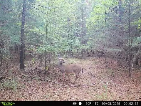 0 Simpson Mill Rd, Laurens, SC 29360 photo 2