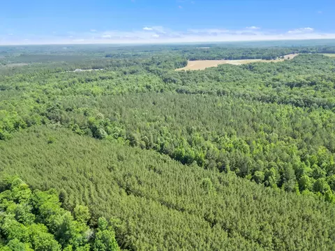 0 Simpson Mill Rd, Laurens, SC 29360 photo 10