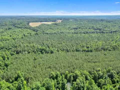 0 Simpson Mill Rd, Laurens, SC 29360 photo 12