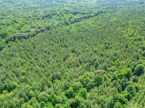 0 Simpson Mill Rd, Laurens, SC 29360 photo 17