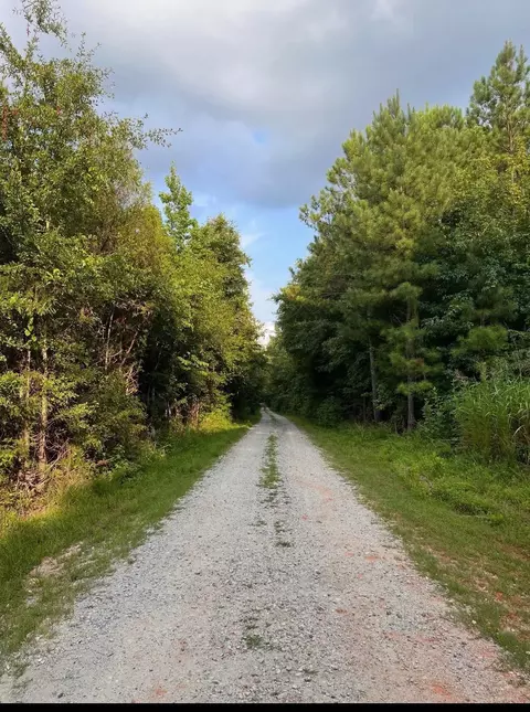 0 Simpson Mill Rd, Laurens, SC 29360 photo 7