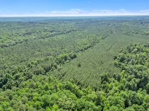 0 Simpson Mill Rd, Laurens, SC 29360 photo 14