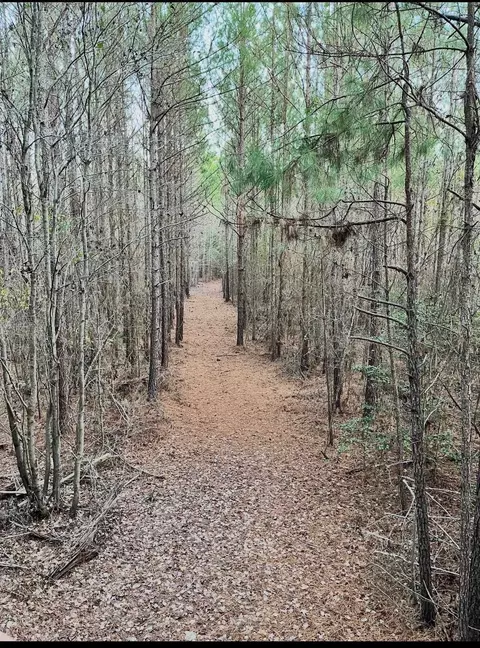 0 Simpson Mill Rd, Laurens, SC 29360 photo 6
