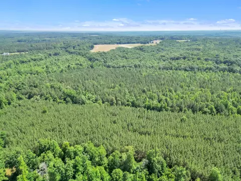 0 Simpson Mill Rd, Laurens, SC 29360 photo 11