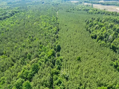 0 Simpson Mill Rd, Laurens, SC 29360 photo 3