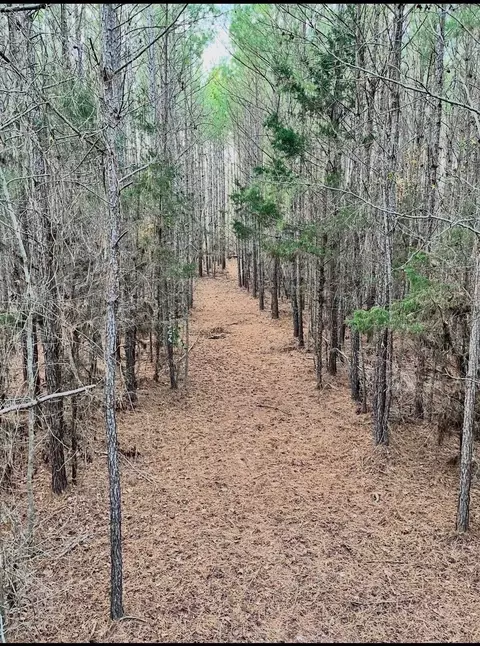 0 Simpson Mill Rd, Laurens, SC 29360 photo 5
