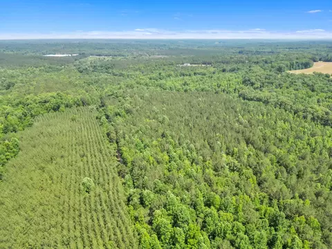 0 Simpson Mill Rd, Laurens, SC 29360 photo 8